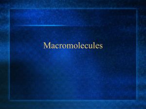 Macromolecules