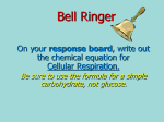 Aerobic Respiration - East Muskingum Schools