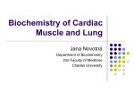 Biochemistry of Cardiac Muscle and Lung