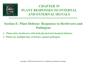 39E-PlantDefense