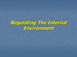 Regulating The Internal Environment