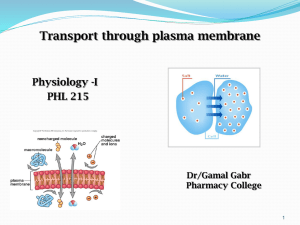 Transport through plasma membranes