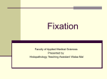 Crosslinking fixatives