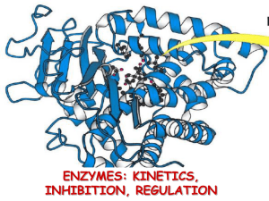 03 Enzymes2