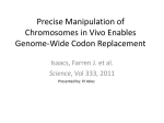 Precise Manipulation of Chromosomes in Vivo