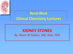 03 Kidney_Stones