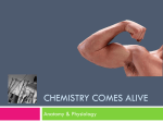 Chemistry Comes Alive