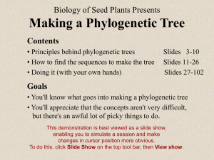 Making a Phylogenetic Tree