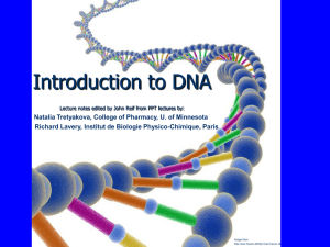 IntroDNA - Duke University