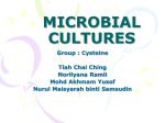 MICROBIAL CULTURES Group : Cysteine Tiah