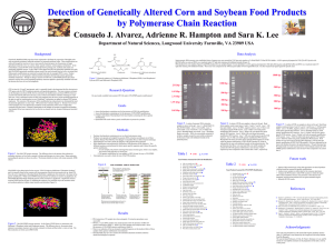 Detection of Genetically Altered Corn and Soybean Food Products