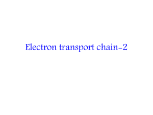 Electron transport chain-2
