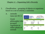 17-Classification (presentation)