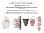 LECTURE18.Olfaction&Taste