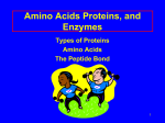 Amino Acids Proteins, and Enzymes Types of Proteins Amino Acids