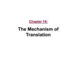 (CH14) Translation (Slides)