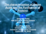 The characterization of Amino Acids and the Purification of Proteins