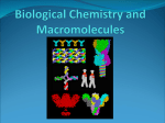 Biological Chemistry and Macromolecules