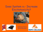 Does System xc- Increase Excitotoxicity?