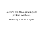 Lecture 6 mRNA splicing and protein synthesis