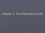Chapter 2: The Molecules of Cells