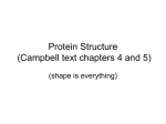 Protein Structure