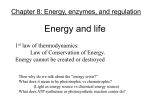 Microbial Metabolism- Energy and Enzymes