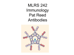 BMT 242 Immunology