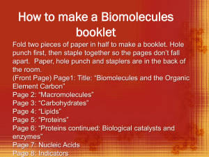 How to make a Biomolecules booklet