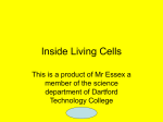Inside Living Cells - Amazon Web Services
