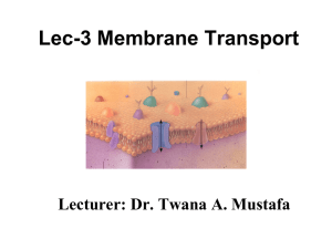 Chapter 12 - Membrane Transport