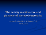 The activity reaction core and plasticity of metabolic networks