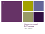 Macromolecules of BioChemistry