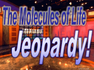 Middle East Jeopardy