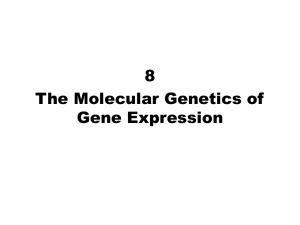 The Molecular Genetics of Gene Expression