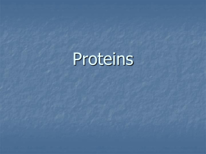 Proteins