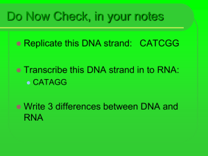 Mutations