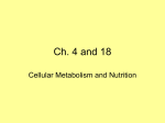 Nutrition and Metabolism PPT
