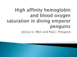 High affinity hemoglobin and blood oxygen saturation in diving