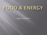 Food & Energy