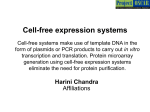 Cell-free expression systems