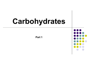 Glucose Metabolism