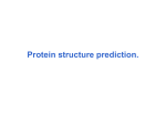 Protein folding. Anfinsen`s experiments.