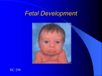 Fetal Development Lecture Notes Page
