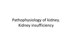 Pathophysiology of kidney. Kidney insufficiency