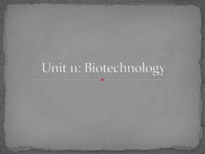 Slides on Biotechnology