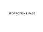 ppt file/lipoprotein