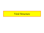 Viral Structure Lec. 2