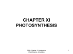 5. CHAPTER XI PHOTOSYNTHESIS