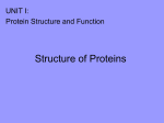 Amino Acids